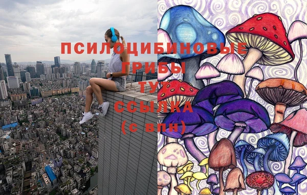 дмт Балабаново