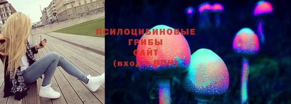 стаф Балахна