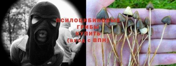 скорость Баксан