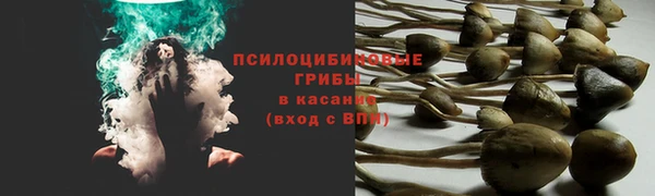 дмт Балабаново