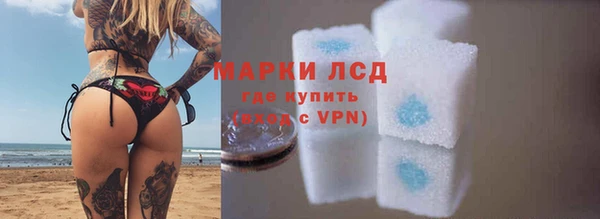 гашик Карпинск