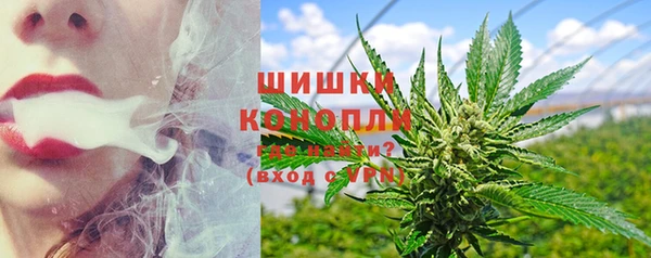 стаф Балахна