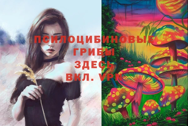 крисы Елизово