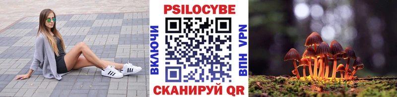 Псилоцибиновые грибы Magic Shrooms  магазин    Куйбышев 